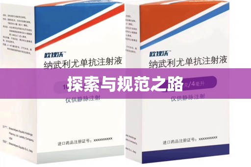 保定探索与规范之路