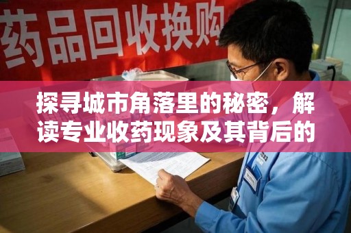 保定探寻城市角落里的秘密，解读专业收药现象及其背后的故事
