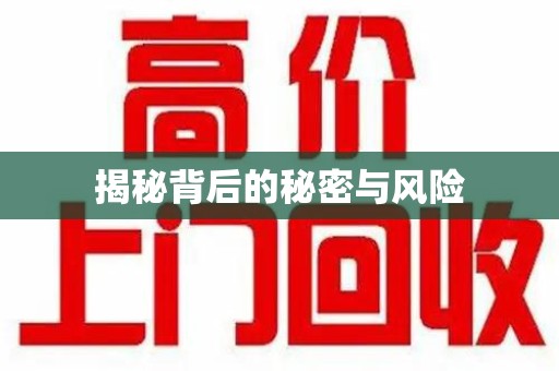 保定揭秘背后的秘密与风险